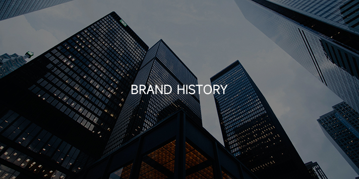 髮(fa)展(zhan)歷(li)程(cheng)